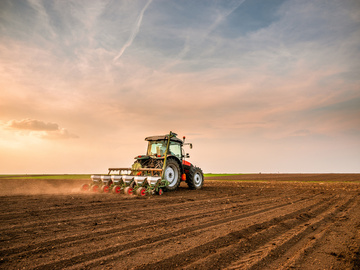 Travaux agricoles à Gaillac